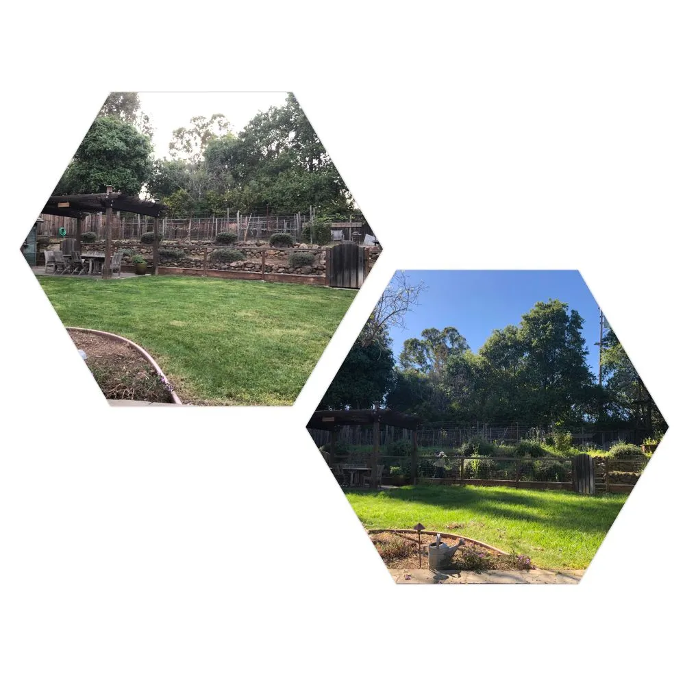 Affordable residential landscaping in San Jose, CA by Sandoval Landscaping & Gardening