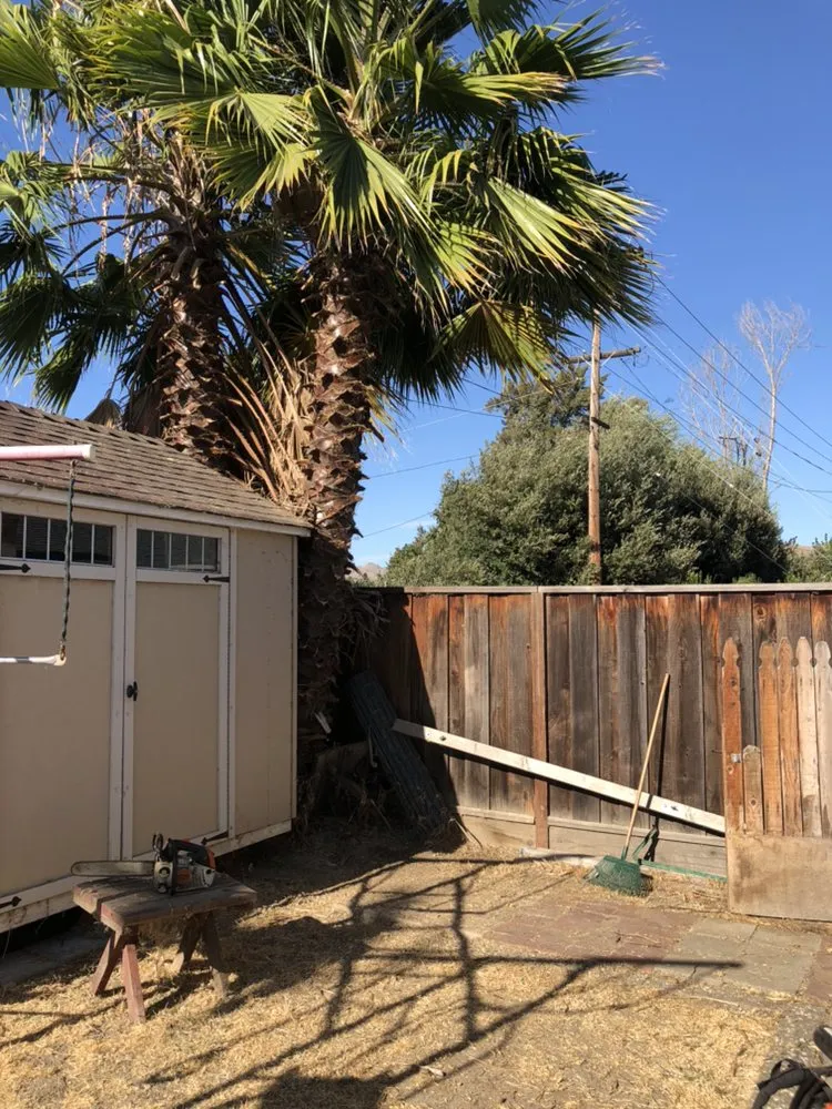 Top-rated lawn care service in San Jose, CA by Sandoval Landscaping & Gardening