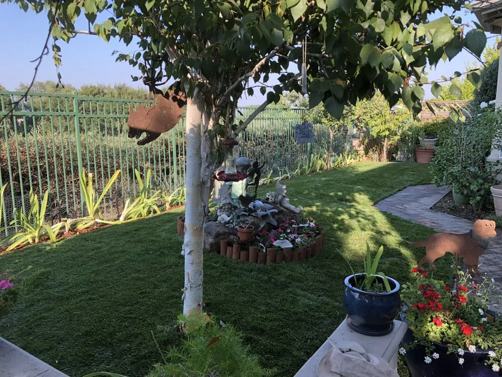 Expert landscaping services for beautiful yards in San Jose, CA by Sandoval Landscaping & Gardening