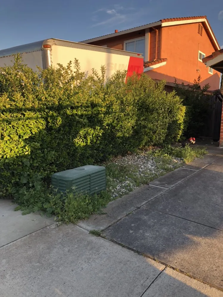 Expert residential landscaping in San Jose, CA - Sandoval Landscaping & Gardening