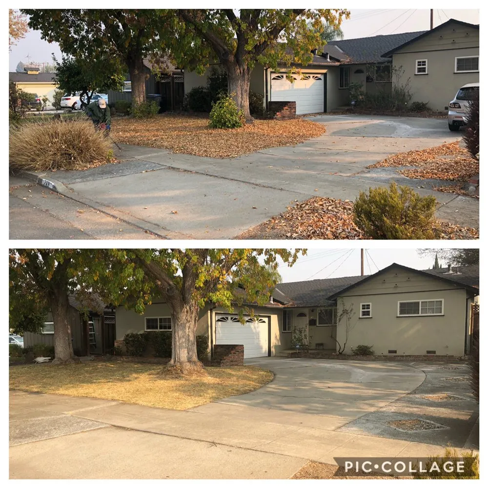 Trusted lawn care service in San Jose, CA - Sandoval Landscaping & Gardening