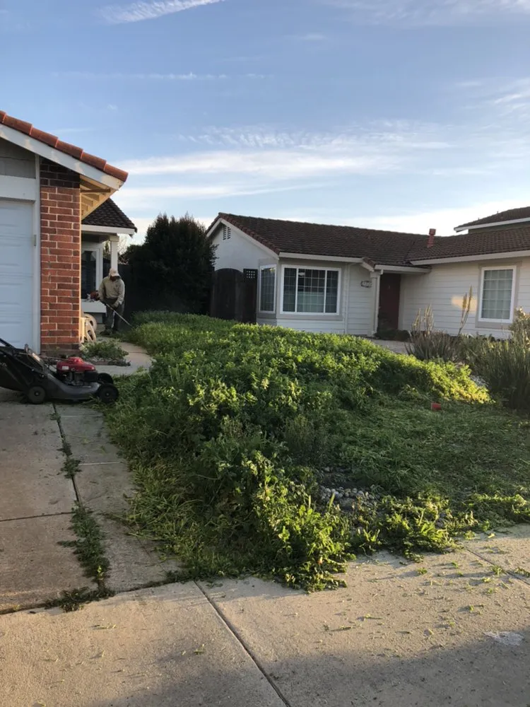 Affordable landscape installation experts serving San Jose, CA - Sandoval Landscaping & Gardening