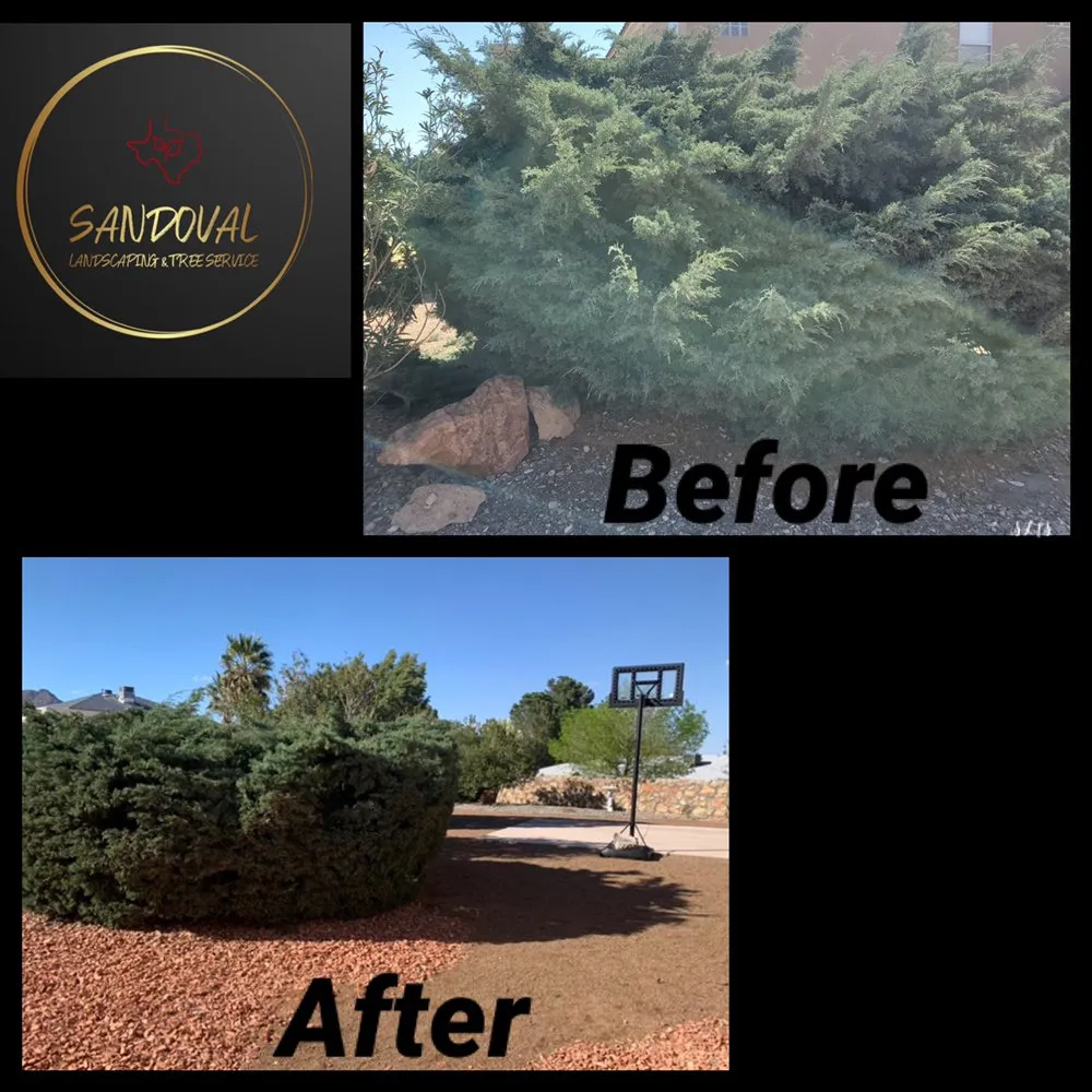 Professional landscaping services in El Paso, TX by Sandoval Landscaping & Tree Service