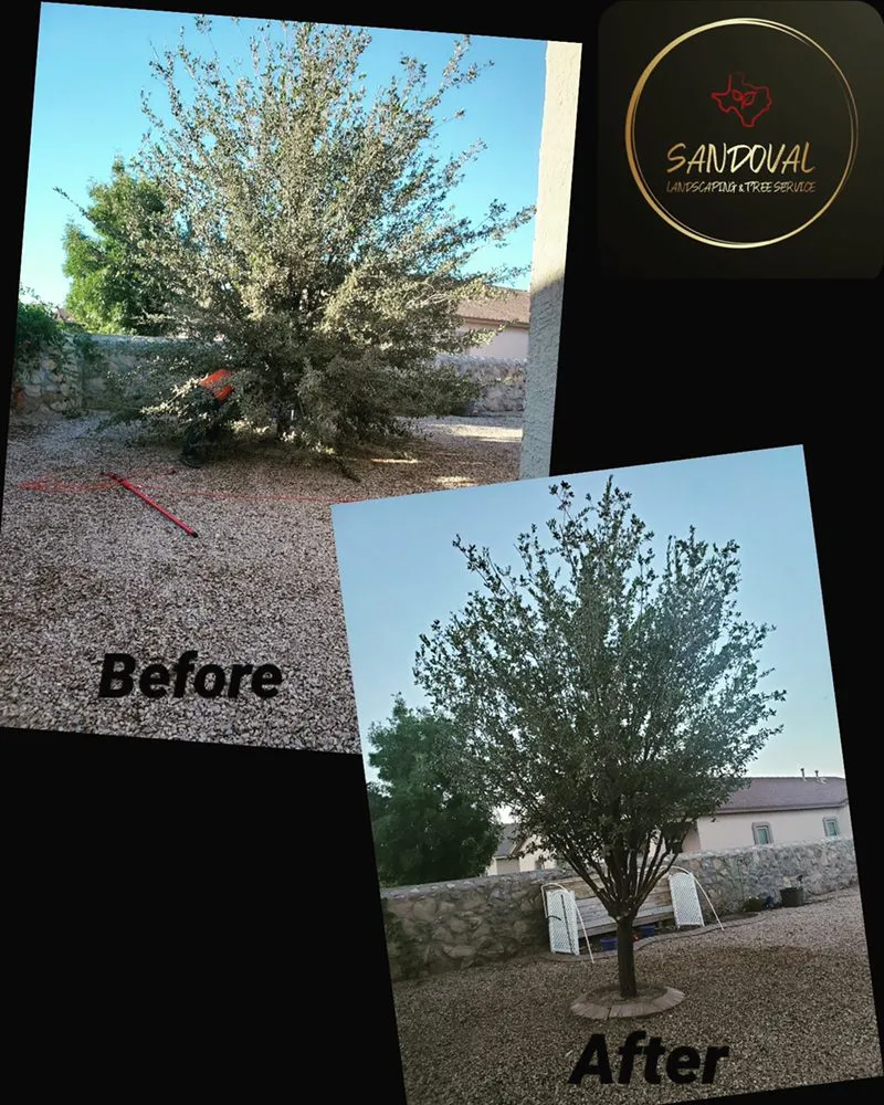 Professional garden landscaping with custom design across El Paso, TX - Sandoval Landscaping & Tree Service