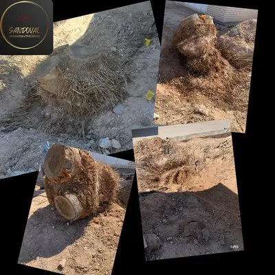 Sandoval Landscaping & Tree Service Logo