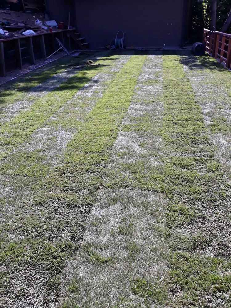 Professional residential landscaping experts serving Antioch, CA - Sandoval Landscaping