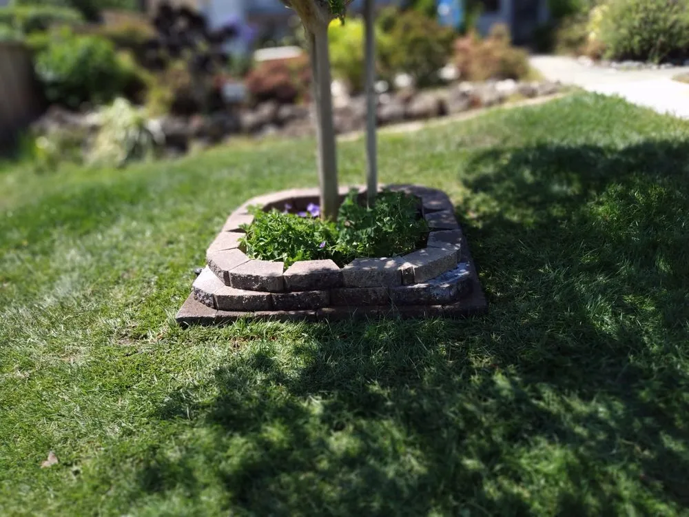 Top-rated landscape design for outdoor upgrades across Antioch, CA - Sandoval Landscaping