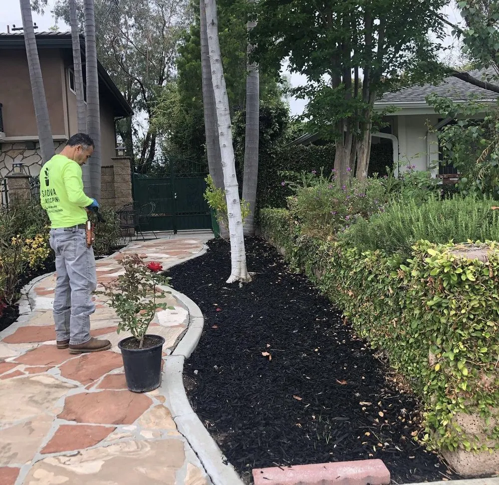 Trusted yard maintenance for outdoor upgrades across Costa Mesa, CA - Sandoval Landscaping