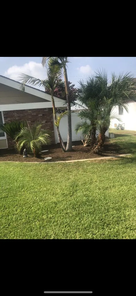 Local yard cleanup service for residential properties across Costa Mesa, CA - Sandoval Landscaping