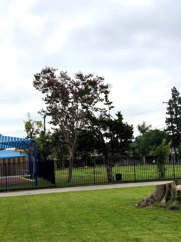 Affordable residential landscaping in Costa Mesa, CA - Sandoval Landscaping