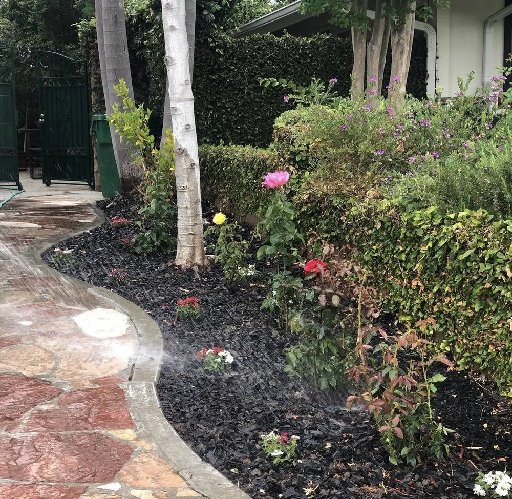 Trusted yard maintenance for homes across Costa Mesa, CA - Sandoval Landscaping