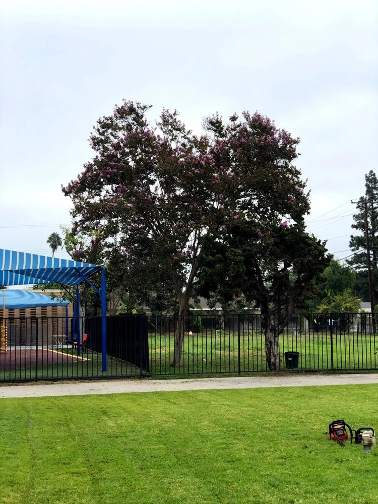 Local lawn mowing service for year-round maintenance across Costa Mesa, CA - Sandoval Landscaping