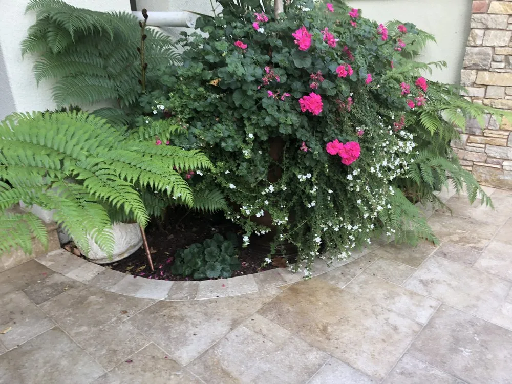Trusted yard maintenance for homes across Gilroy, CA - Sandoval Landscaping