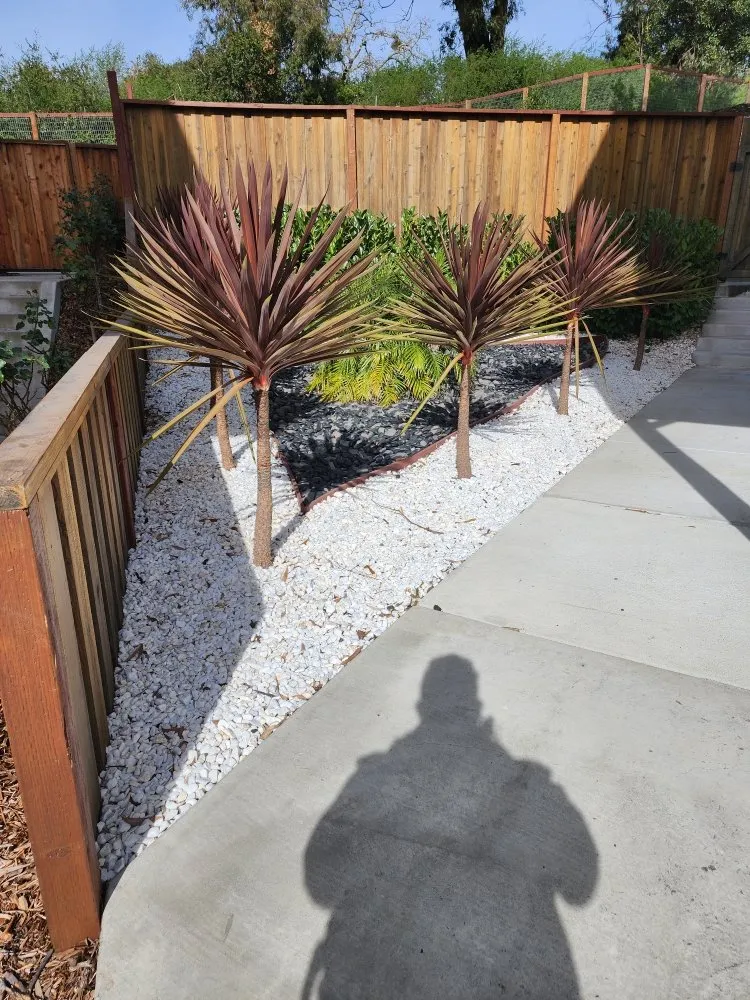 Top-rated landscaping services for homes in Santa Rosa, CA by Sandoval Landscaping
