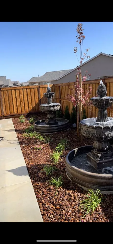 Professional yard cleanup service in Manteca, CA by Sandoval Landscaping Services