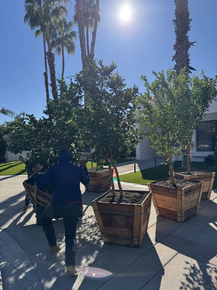 Professional outdoor landscaping experts serving Sky Valley, CA - Sandoval Landscaping