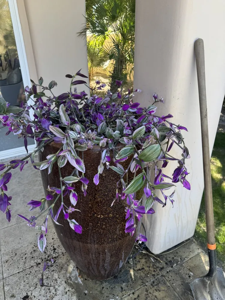 Custom yard cleanup service for beautiful yards across Sky Valley, CA - Sandoval Landscaping