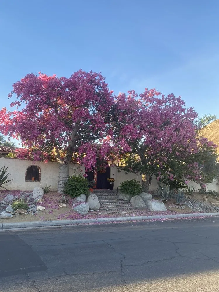 Custom lawn care service experts serving Sky Valley, CA - Sandoval Landscaping