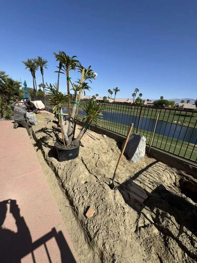 Affordable yard cleanup service for beautiful yards in Sky Valley, CA by Sandoval Landscaping