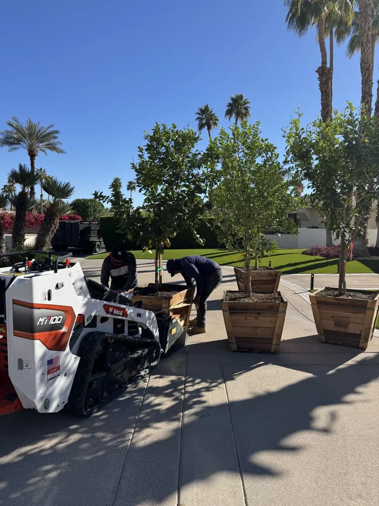 Expert landscaping services in Sky Valley, CA by Sandoval Landscaping