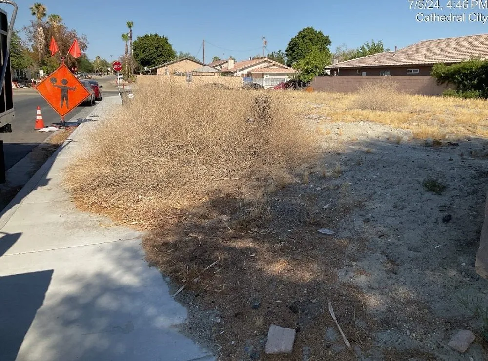 Top-rated landscaping services in Sky Valley, CA - Sandoval Landscaping