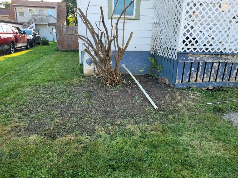 Trusted lawn mowing service in Cudahy, WI - Sandoval Property Development