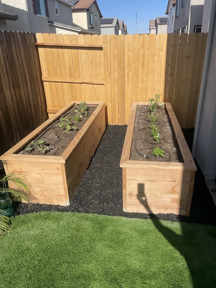 Professional yard cleanup service experts serving Lodi, CA - Sandoval R landscaping