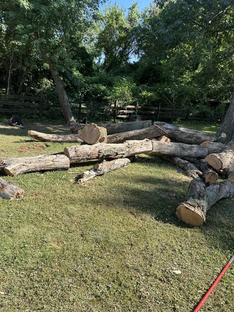 Custom landscape design in Santa Rosa, CA by Sandoval’s Tree Experts