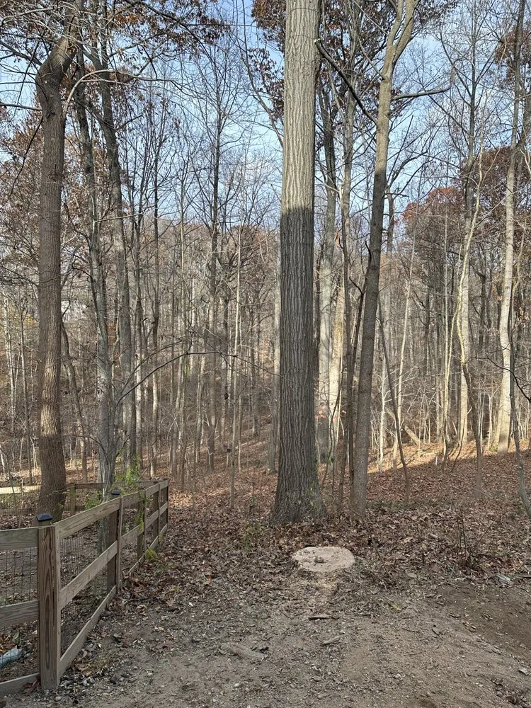 Expert lawn mowing service in Santa Rosa, CA - Sandoval’s Tree Experts