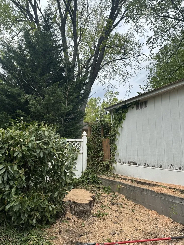 Affordable outdoor landscaping in Santa Rosa, CA by Sandoval’s Tree Experts