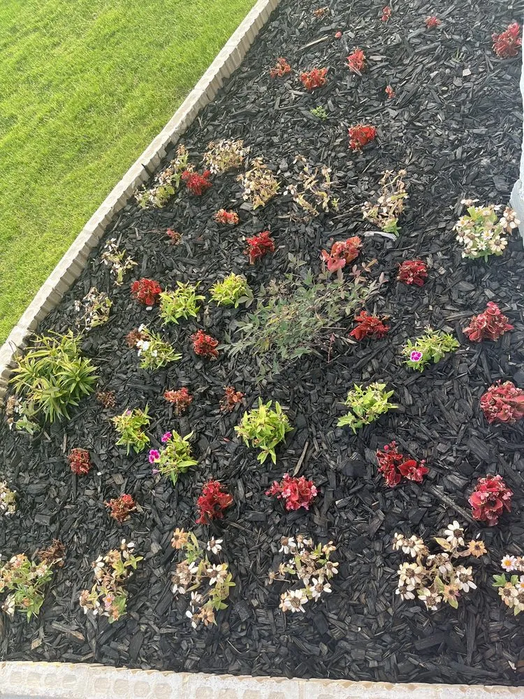 Trusted garden landscaping in Mesquite, TX - Sandra's Landscaping Services
