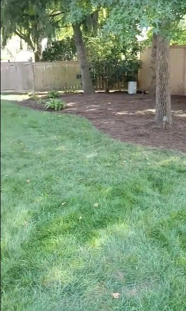 Local landscape installation for residential properties in Paducah, KY by Sandretta Landscaping