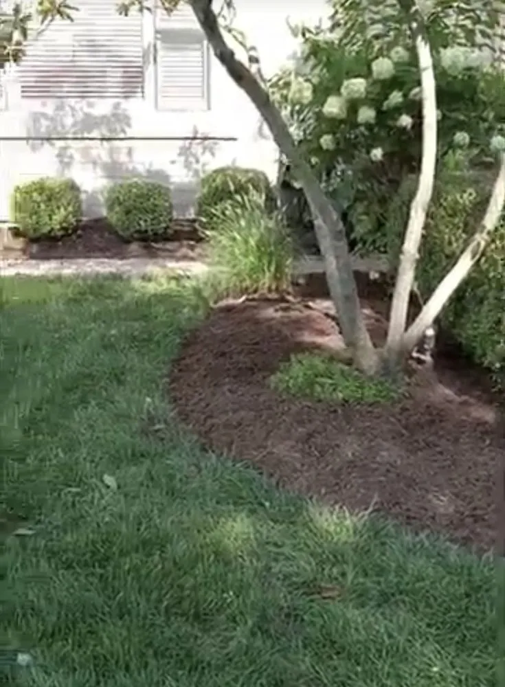 Trusted outdoor landscaping for homes across Paducah, KY - Sandretta Landscaping