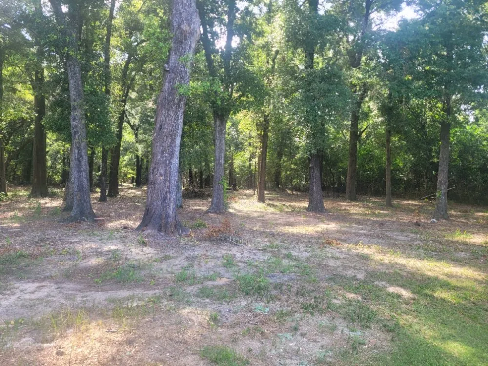 Custom yard cleanup service in Milton, FL - Sands Landscaping