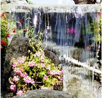 Affordable landscape design in Indio, CA by Sands To Greens Landscape