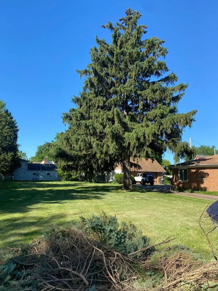 Professional landscaping services in Clyde, OH by Sandusky Bay Logging