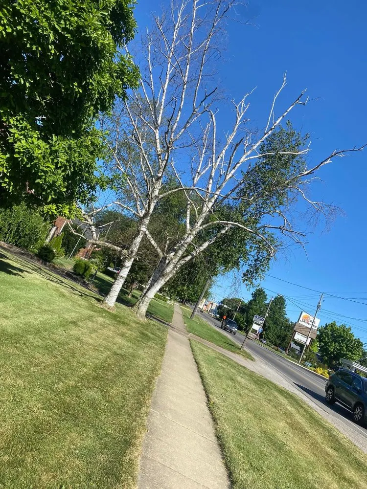 Affordable outdoor landscaping with custom design in Clyde, OH by Sandusky Bay Logging