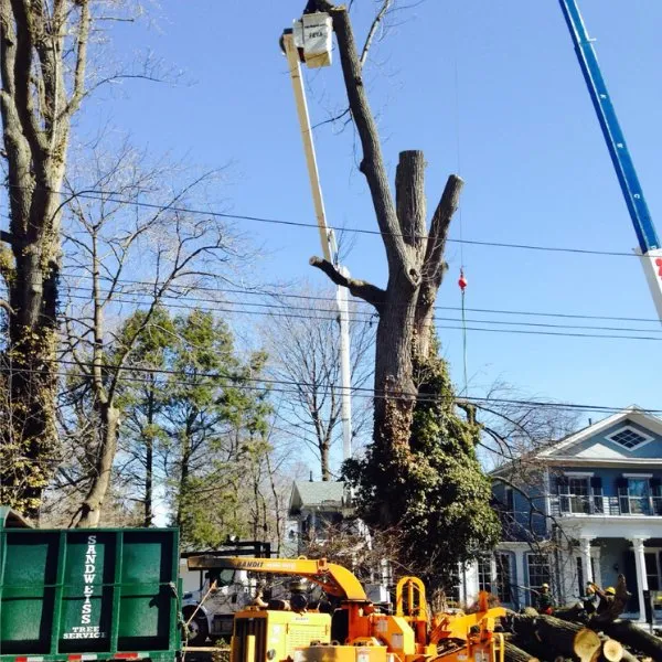 Expert landscape installation with custom design in North Haven, CT by Sandweiss Tree Service