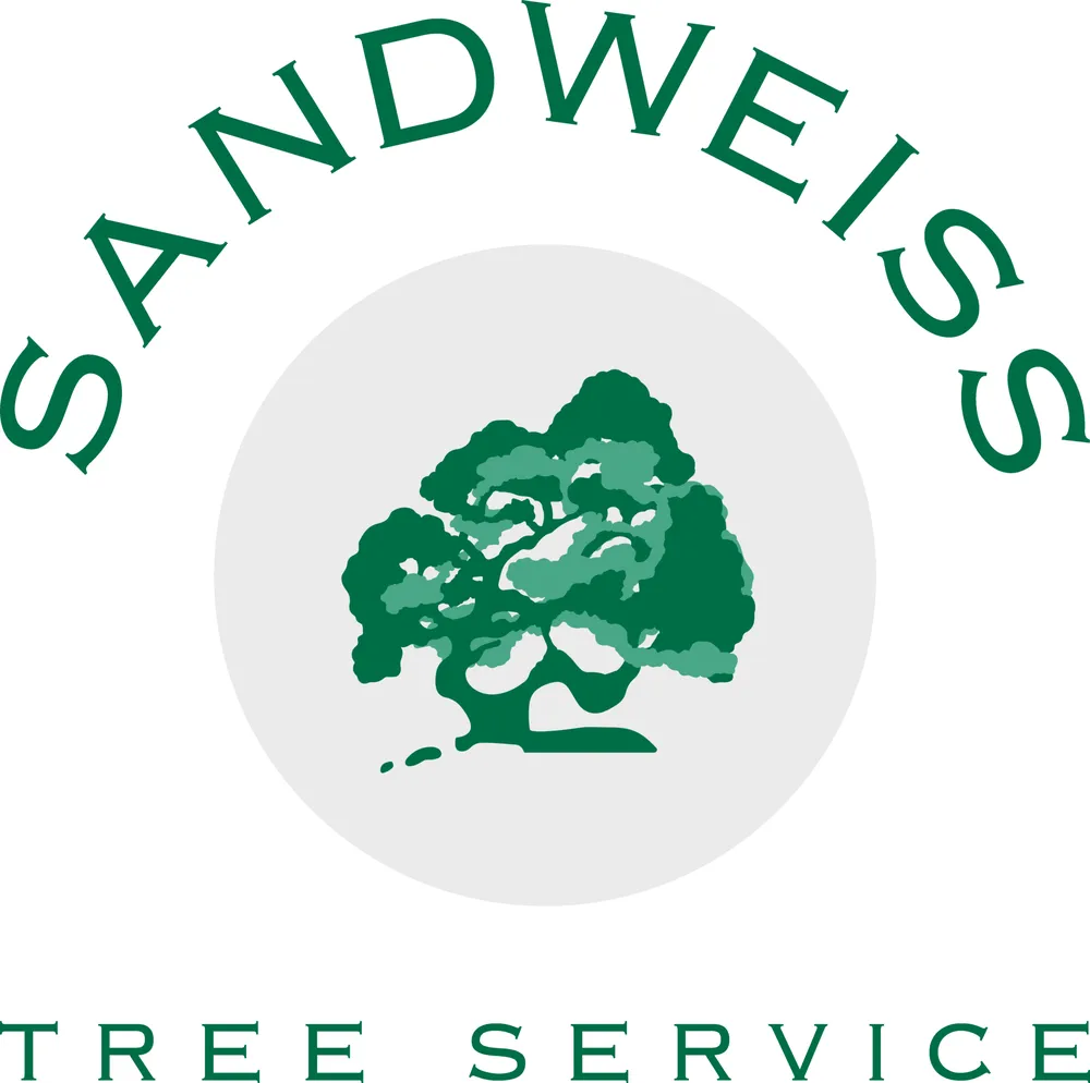 Professional lawn mowing service experts serving North Haven, CT - Sandweiss Tree Service