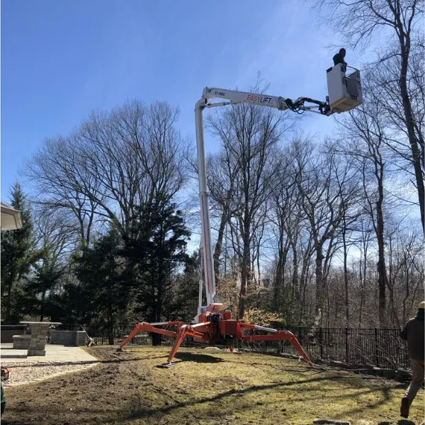 Affordable outdoor landscaping experts serving North Haven, CT - Sandweiss Tree Service