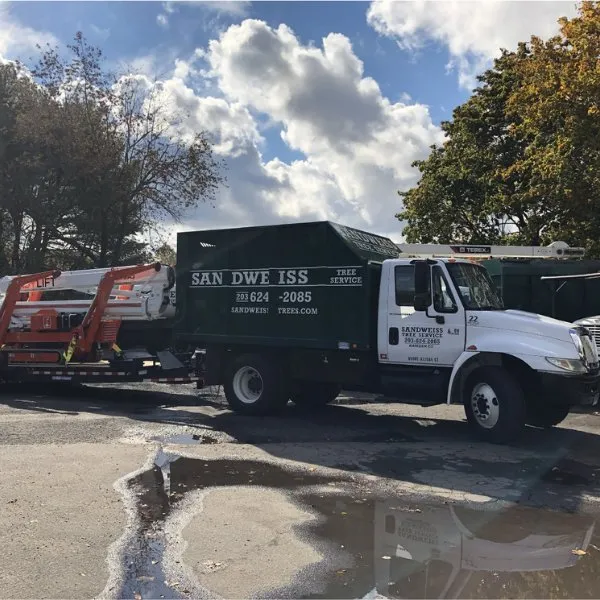 Professional landscape design in North Haven, CT - Sandweiss Tree Service