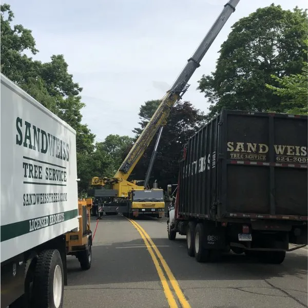 Affordable landscape design in North Haven, CT - Sandweiss Tree Service