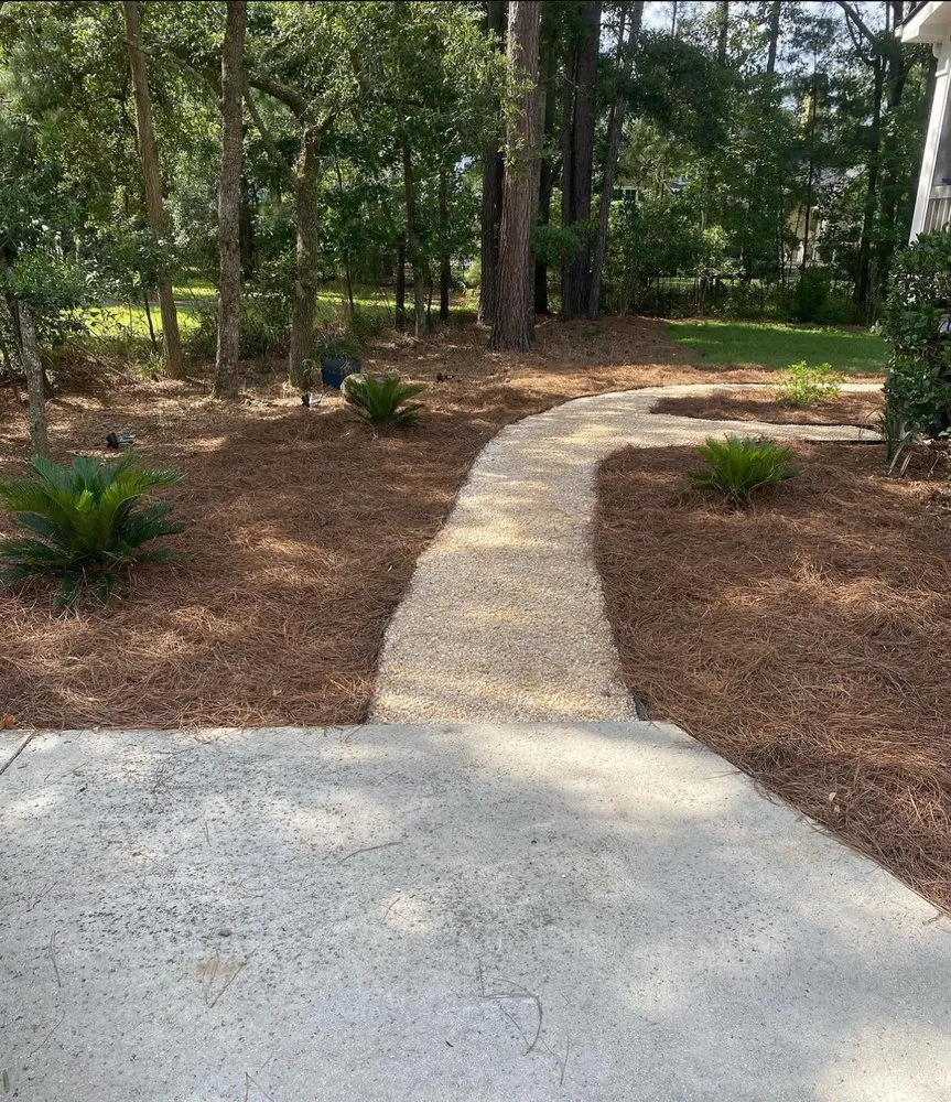 Affordable lawn care service for homes across Mount Pleasant, SC - Sandy Roots