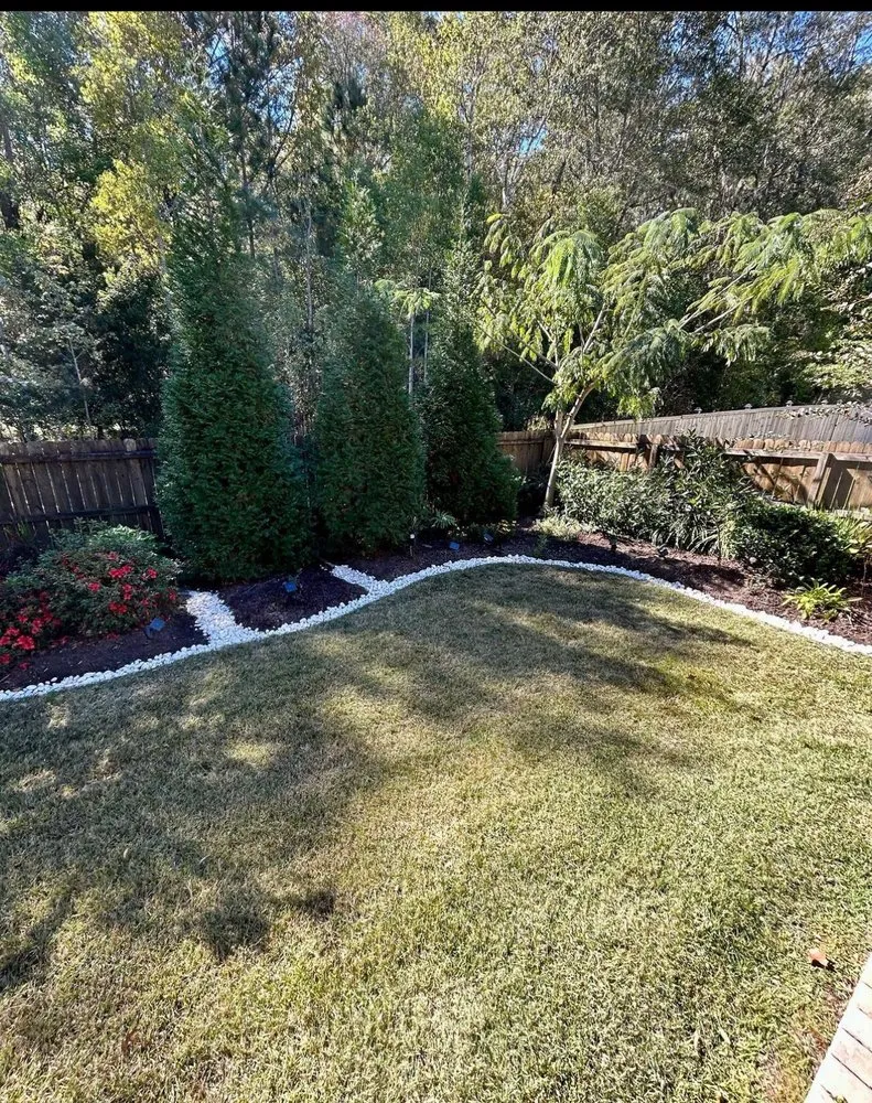 Trusted yard cleanup service in Mount Pleasant, SC by Sandy Roots