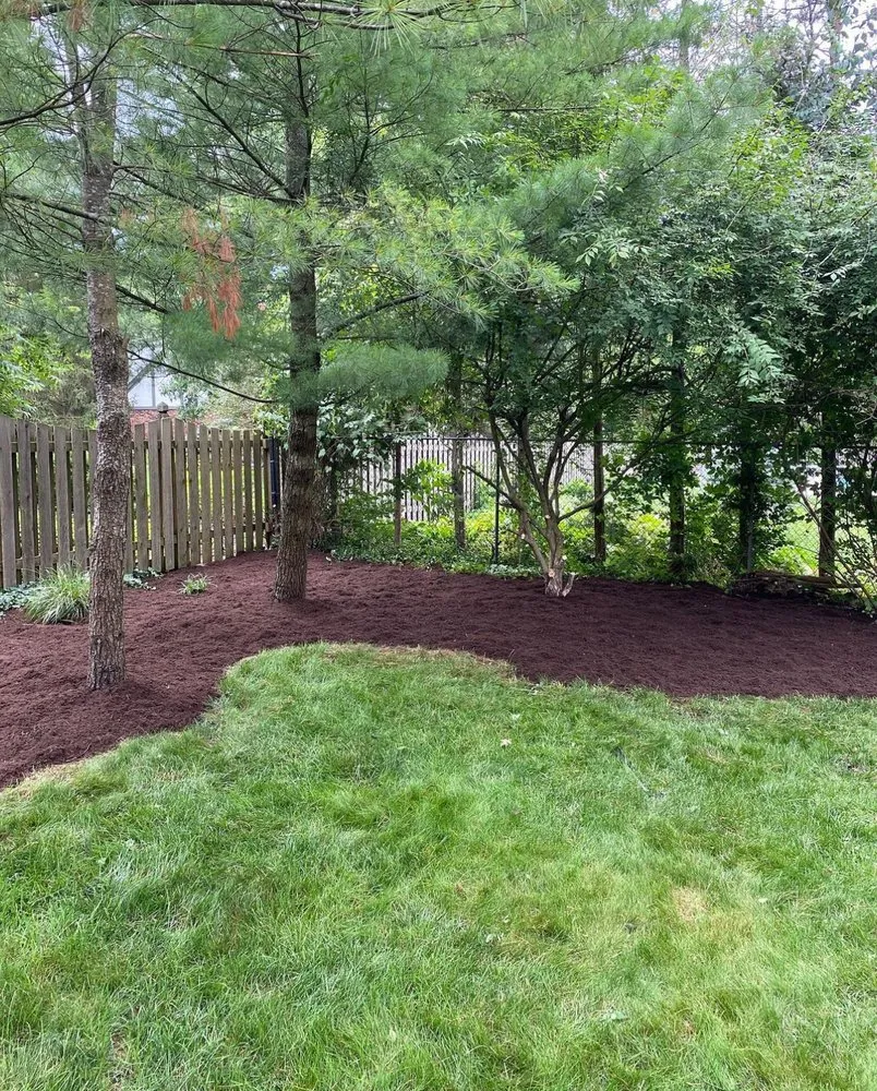 Professional landscape installation for beautiful yards in Mount Pleasant, SC by Sandy Roots