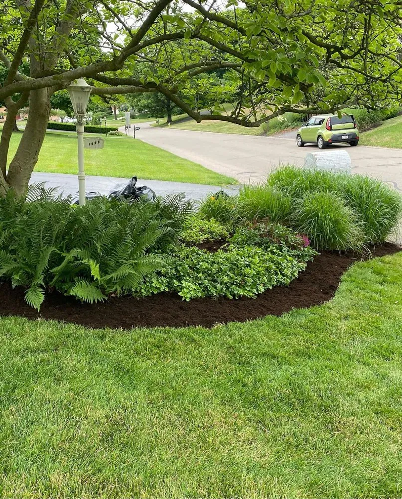 Trusted yard maintenance in Mount Pleasant, SC - Sandy Roots