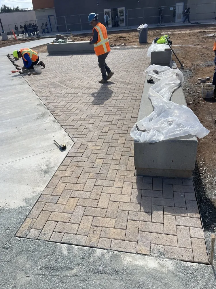 Expert yard cleanup service experts serving San Diego, CA - Sandyland Landscape Construction