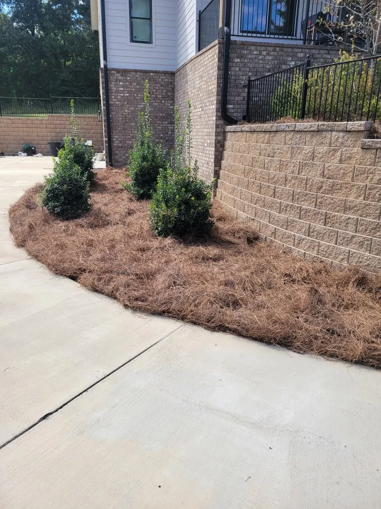 Reliable residential landscaping in Fultondale, AL - Sanford & Son Landscape