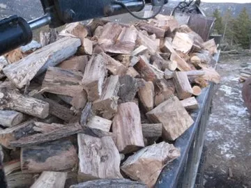 Expert landscaping services experts serving Evergreen, CO - Sanford & Sons Hauling & Tree Service