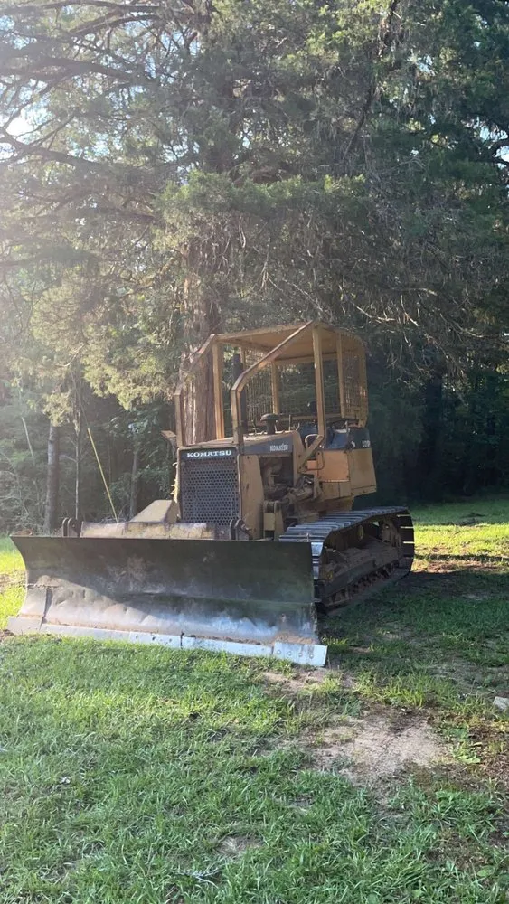 Professional yard maintenance in Fayette, AL - Sanford Express